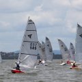 mini-IMG_2871_726_434_90