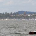 mini-IMG_2886_726_367_90