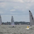 mini-IMG_2888_726_330_90