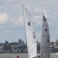 mini-IMG_2899_726_879_90
