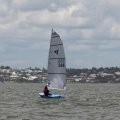 mini-IMG_2908_726_310_90
