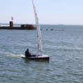 mini-IMG_0278