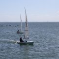 mini-IMG_0287