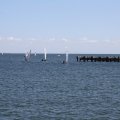 mini-IMG_0290