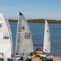 Ballina sailing33