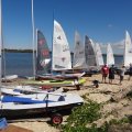 Ballina sailing39