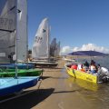 Ballina sailing46