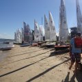 Ballina sailing48