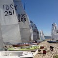 Ballina sailing50