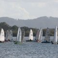 IMG_0038A