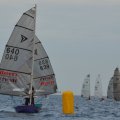 DSC_0225