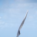 untitled-6973
