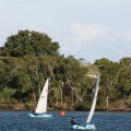 IMG_0039