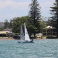 IMG_0600