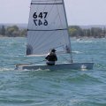 IMG_0645