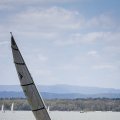 IMG_5919