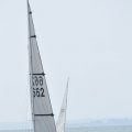 DSC_0339