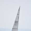 DSC_0342
