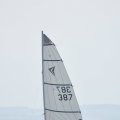 DSC_0343