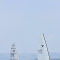 DSC_0345