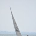 DSC_0347
