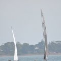 DSC_0371