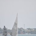 DSC_0377