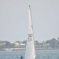 DSC_0385