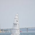 DSC_0390