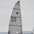 DSC_0534