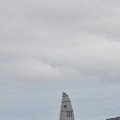 DSC_0606