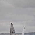 DSC_0637