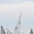 DSC_0077